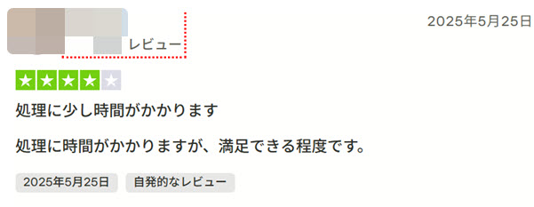 TrustpilotのDVDFabの評判3